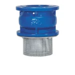 Foot Valve